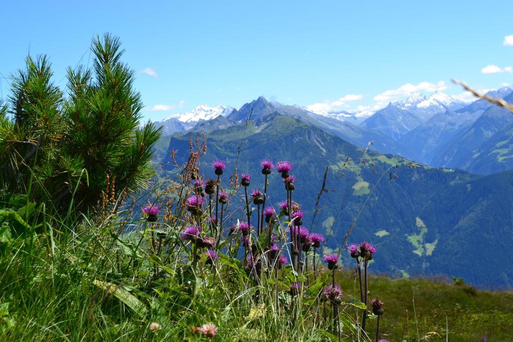 Apartments Emma, Zillertal, Tirol Kaltenbach Eksteriør billede